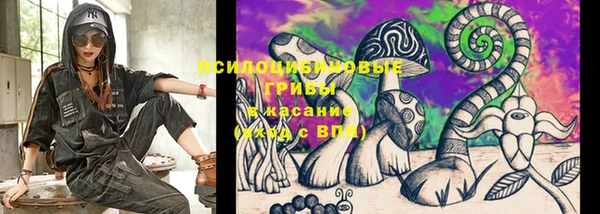 ешки Бикин