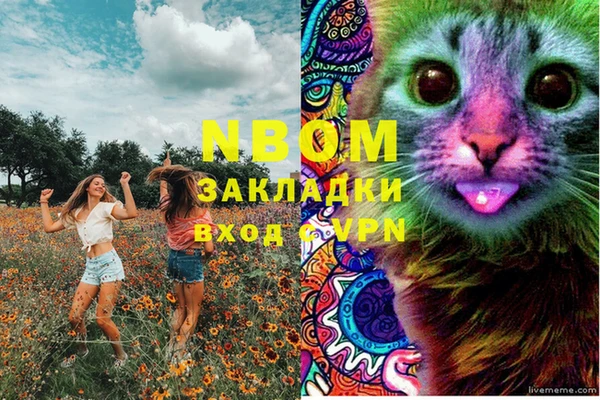гидра Бежецк