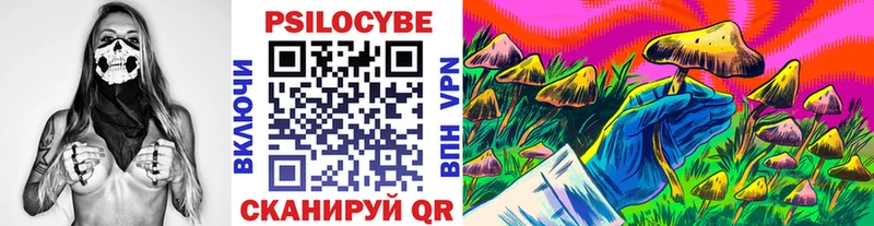 Псилоцибиновые грибы Cubensis  Зеленодольск 