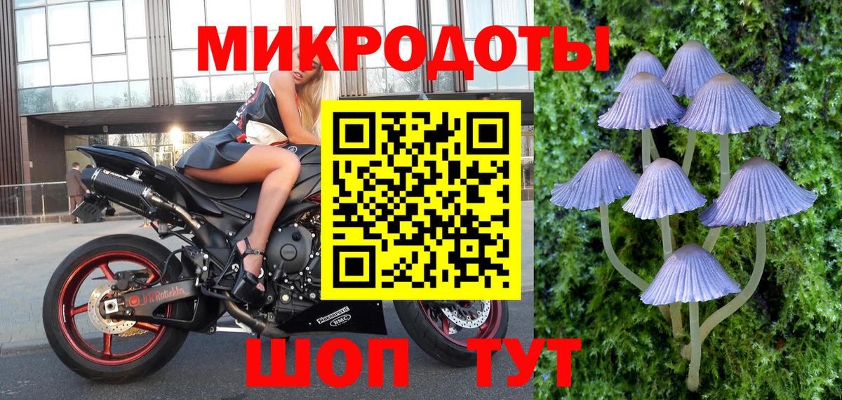Зеленодольск  где можно купить наркотик  Галлюциногенные грибы мухоморы  Вход с VPN  Галлюциногенные грибы MAGIC MUSHROOMS 